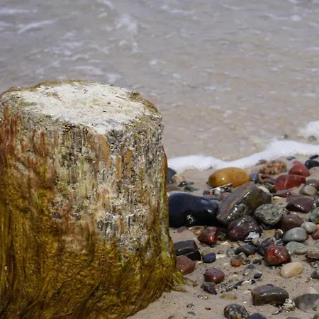 Windfluechter Börgerende-Rethwisch