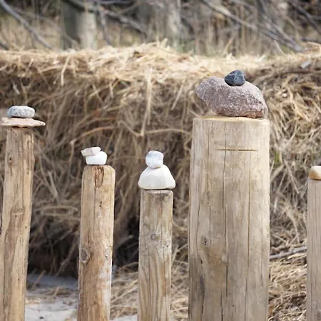 Windfluechter * Börgerende-Rethwisch